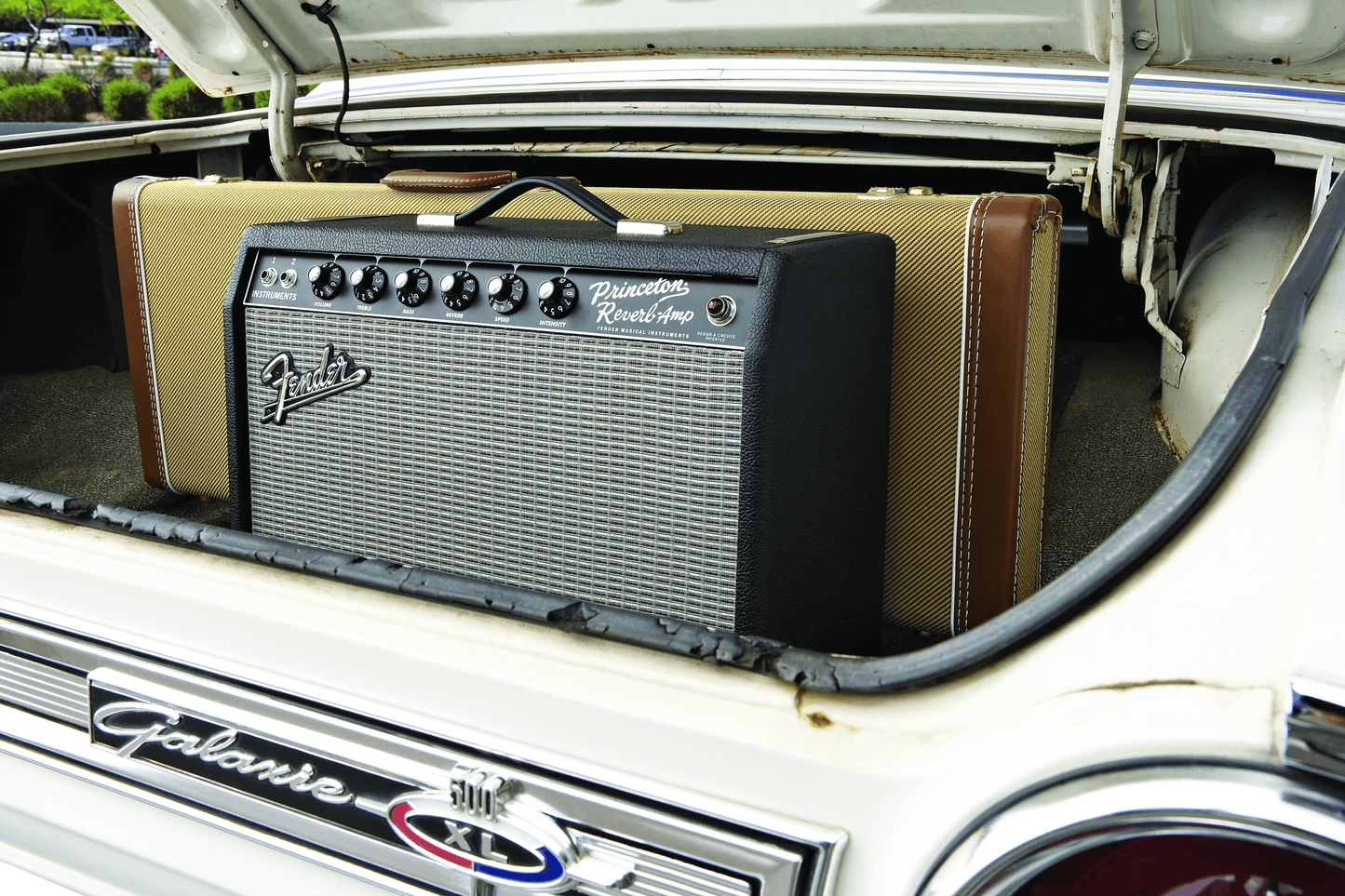 '65 Princeton® Reverb